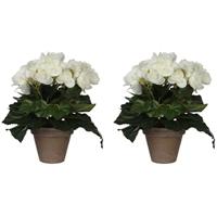 Mica Decorations kunstplant begonia 25cm wit - thumbnail