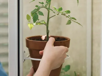 Royal Well | Pothouder Set van 4 | Wit