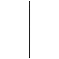 VidaXL Wandspiegel rechthoekig 30x80 cm ijzer zwart - thumbnail