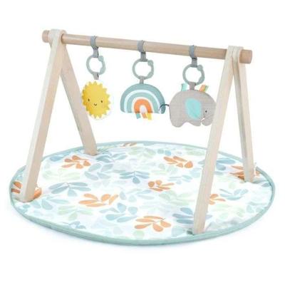 ITY van INGENUITY Sun Valley speelkleed met houten speelboog, 3 afneembare speelgoedjes, opvouwbaar, vanaf de geboorte ITY van INGENUITY Sun Valley speelkleed met houten speelboog, 3 afneembare speelgoedjes, opvouwbaar, vanaf de geboorte