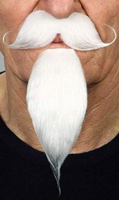 Valse baard My Other Me Wit