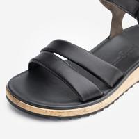 Paul Green 6112 - alle - thumbnail