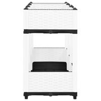 Plantenbak verhoogd 120x40x71 cm polypropeen - thumbnail