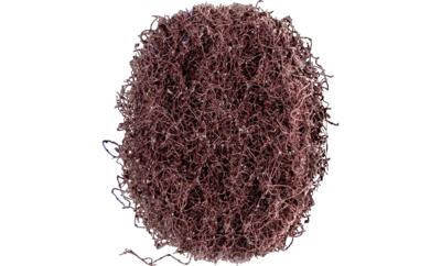 PFERD TOOLS 44637100 Ronde voor marmeringslichaam Diameter 40 mm 100 stuk(s)