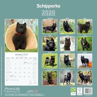 Schipperke Kalender 2026 - thumbnail