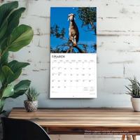 Goats in Trees Kalender 2026 - thumbnail
