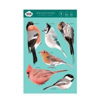 KEK Amsterdam muursticker vogel (set van 6) - thumbnail