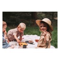 Dantoy serviesset, 56dlg. - thumbnail