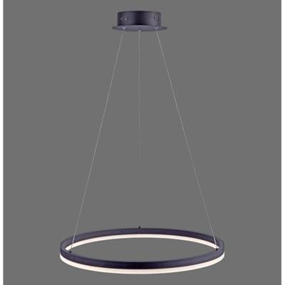 Paul Neuhaus Led hanglampTitus Ø 60cm - 2382-13