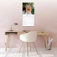 Welsh Terrier Kalender 2026 - thumbnail