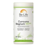 Curcuma magnum 3200 & piperine bio - thumbnail