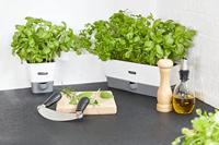 Victorinox groentemes recht 8cm zwart kunststof heft - thumbnail