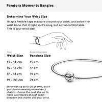 Pandora 590713-15 Zilverkleurig Dames armband - thumbnail