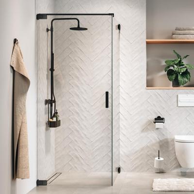 Zijwand Sealskin Pure Voor Combinatie Met Draaideur 120x200 cm Helder Glas Antikalk Geborsteld Gunmetal