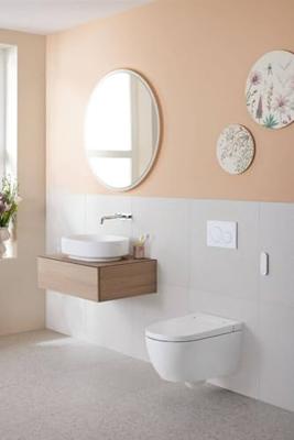 Geberit AquaClean Alba douchewc - 37.5x56.5x40.5cm - spoelrandloos - diepspoel - afstandsbediening - KeraTect - glans wit 146.350.01.1 - thumbnail
