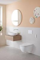 Geberit Douche WC AquaClean Alba Met Afstandsbediening Wit - thumbnail