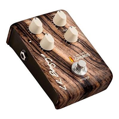 LR Baggs Align Series Chorus