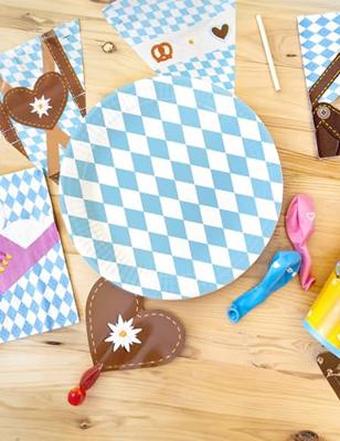 Geruite Papieren Bordjes Blauw/Wit (8st)
