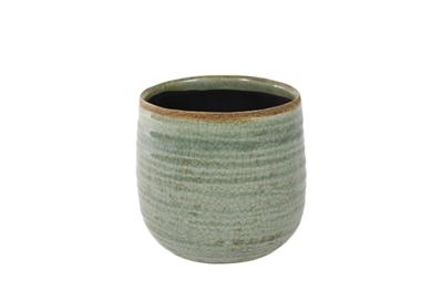 Iris mint bloempot binnen 14x12 cm