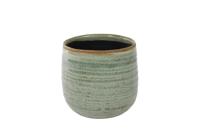 Iris mint bloempot binnen 14x12 cm - thumbnail
