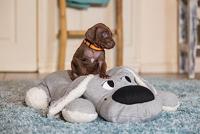 Honden knuffel XL Hond, grijs - thumbnail