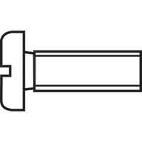 TOOLCRAFT 839652 Cilinderkopschroeven M2 20 mm Sleuf DIN 84 Staal Verzinkt 100 stuk(s) - thumbnail