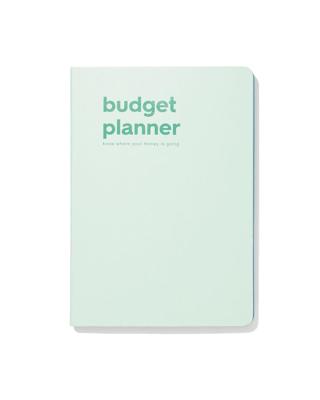 HEMA Budgetplanner voor 12 maanden 21x15