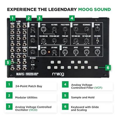 Moog Mavis synthesizer kit - thumbnail