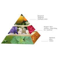 Pascal Morabito Noir Eau de Parfum - thumbnail