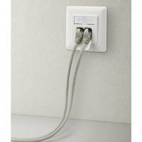Renkforce Netwerkdoos Inbouw (in muur) Inzet CAT 6A 2 poorten Wit - thumbnail