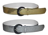 Ceintuur Goud - Zilver - thumbnail