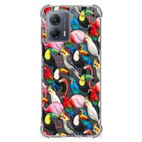 Motorola Moto G53 Case Anti-shock Birds - thumbnail