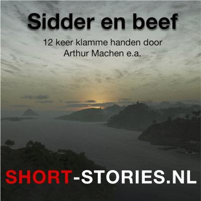 Sidder en beef
