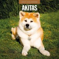 Akita Kalender 2027 - thumbnail