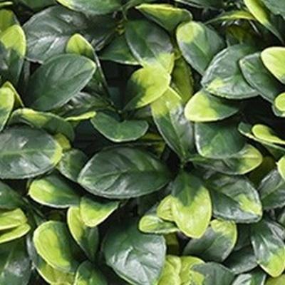 Kunstplanten mat 50x50 cm bayberry Buitengewoon de Boet - Buitengewoon de boet