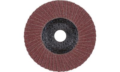 PFERD TOOLS 67604100 PFF 100 A 40 SG STEELOX/16,0 Lamellenschijf Diameter 100 mm Boordiameter 16 mm RVS, Staal 10 stuk(s) PFERD TOOLS 67604100 PFF 100 A 40 SG STEELOX/16,0 Lamellenschijf Diameter 100 mm Boordiameter 16 mm RVS, Staal 10 stuk(s)