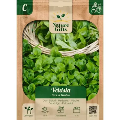 Veldsla verte de cambrai per 20m