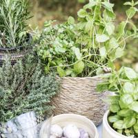 Society of Lifestyle 212470104 serveerschaal - thumbnail