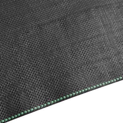 Worteldoek 4x50 m polypropeen zwart - thumbnail