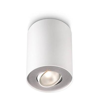Philips Witte plafondspotPillar - 5633031PN