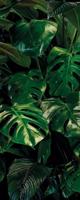 Noordwand Komar Pure Fotobehang Tropical Wall - P333-VD1 - thumbnail