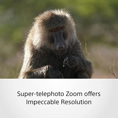Sony FE 200-600mm F/5.6-6.3 G OSS - thumbnail