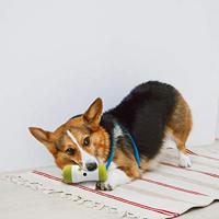 AFP Interactives - Treat Frenzy Roll - thumbnail