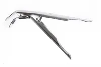 The bastard grillgrijper - thumbnail