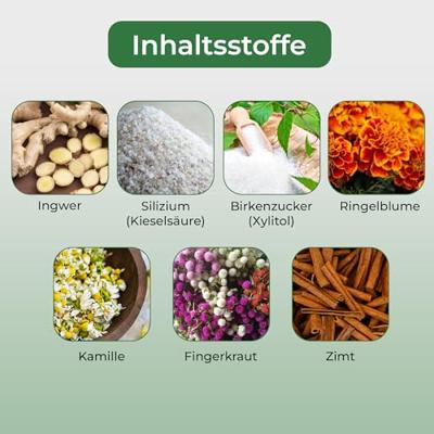 Vegan Tandpasta Poeder Gember BIO