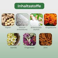 Vegan Tandpasta Poeder Gember BIO - thumbnail