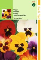 Zaden Viola Viool Trimardeau gemengd Hortitops - Hortitops - thumbnail