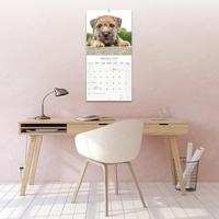 Border Terrier Kalender 2026 - thumbnail