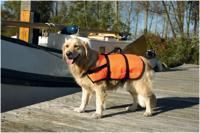 BZ VEILIGHEIDS/ZWEMVEST X-LG 41+KG - thumbnail