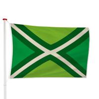 Achterhoekse vlag - thumbnail